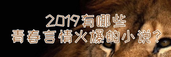 2019有哪些青春言情火爆的小说？