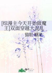 [综漫主今天开始做魔王]双面穿越大混乱